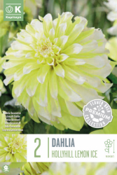 Далия декоративна  HOLLYHILL LEMON ICE 2 бр.
