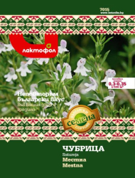 Чубрица