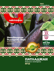 Патладжан