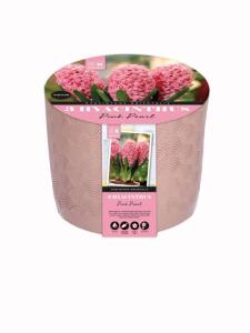Керамична саксия ЗЮМБЮЛ PINK PEARL 16/17  ф14 3бр.