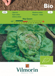 Био маруля May Queen
